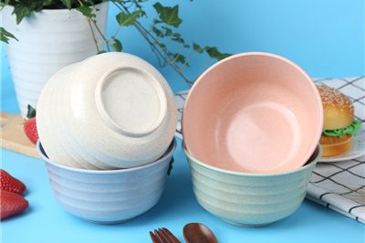 10inch microwavable custom plastic bowl (3)