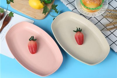 Cheap kitchen serving custom food plastic plate (1)