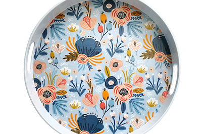 Custom print plasticmelamine fruit tray (3)