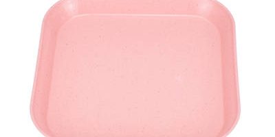 Decorative wholesale eco-friendly plastic fruit snack plate (4)