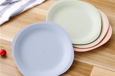 Eco-friendly biodegradable plastic plate (3)