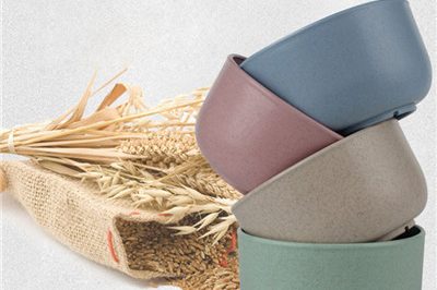 New style biodegradable eco friendly plastic soup bowl (1)